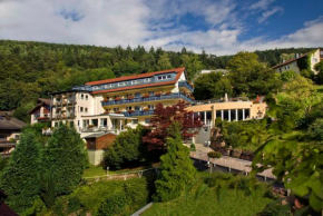 Hotel Rothfuss Bad Wildbad